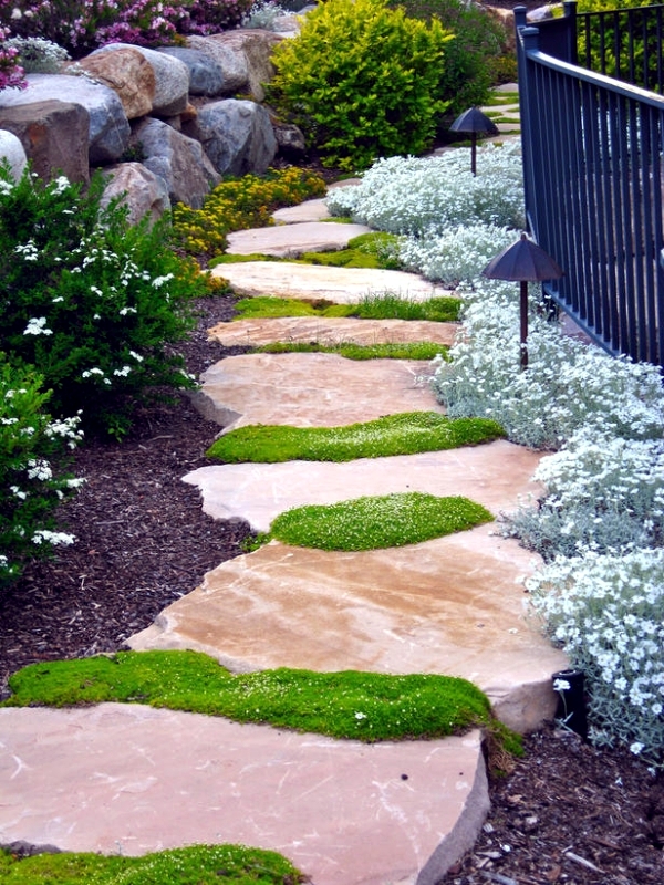 Interesting Paths