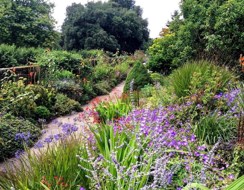 Borde Hill Garden