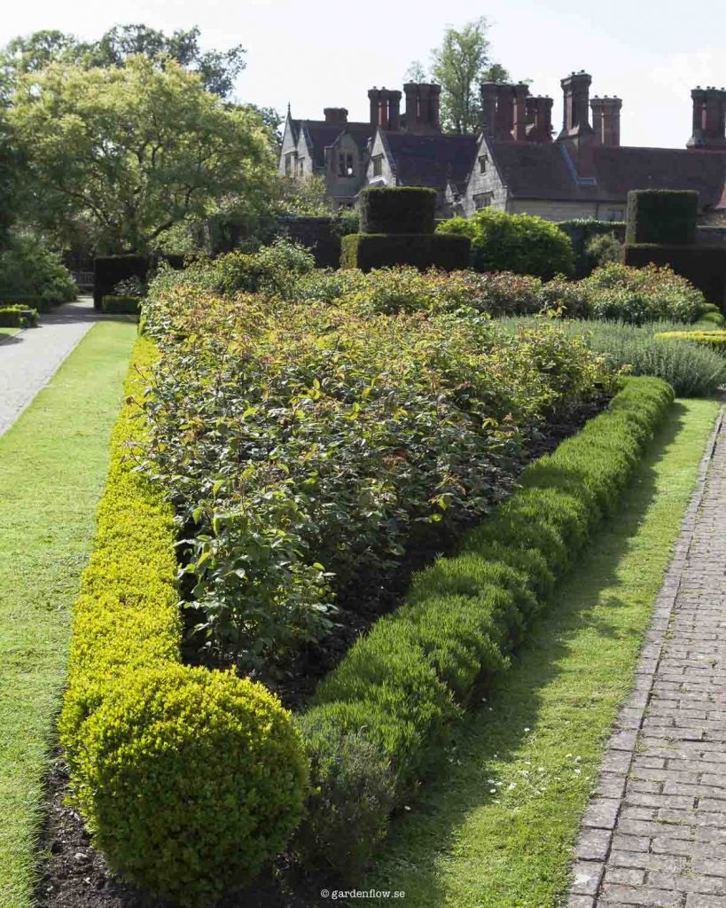 Garden Border Planting Ideas