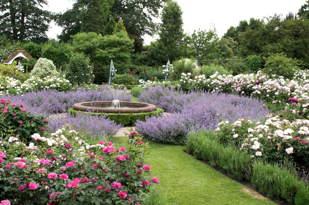 The Best Central Texas Landscaping Ideas