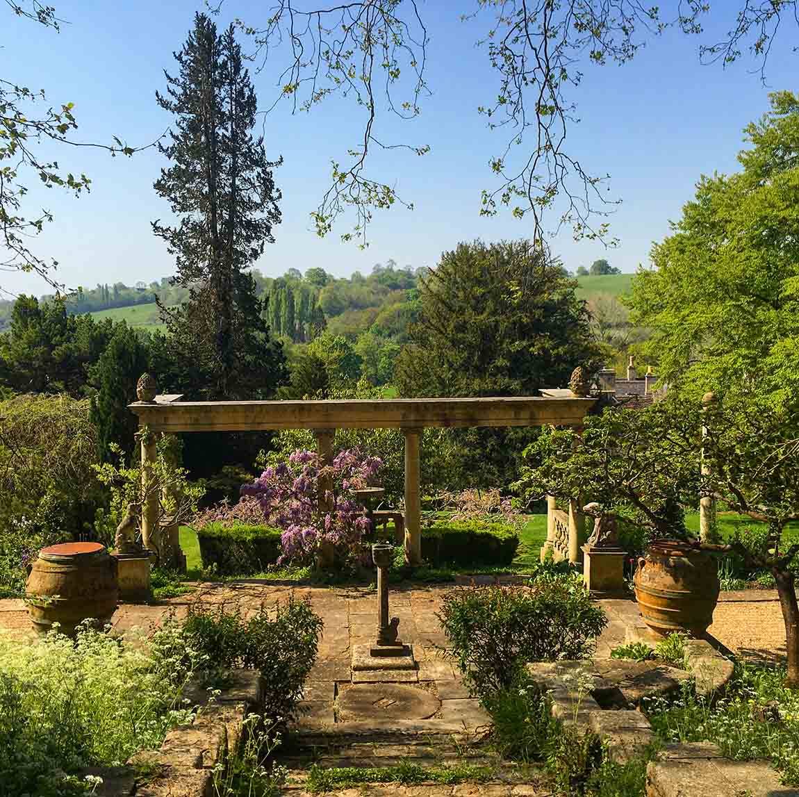 Pin On Succulent And Flowering Plants