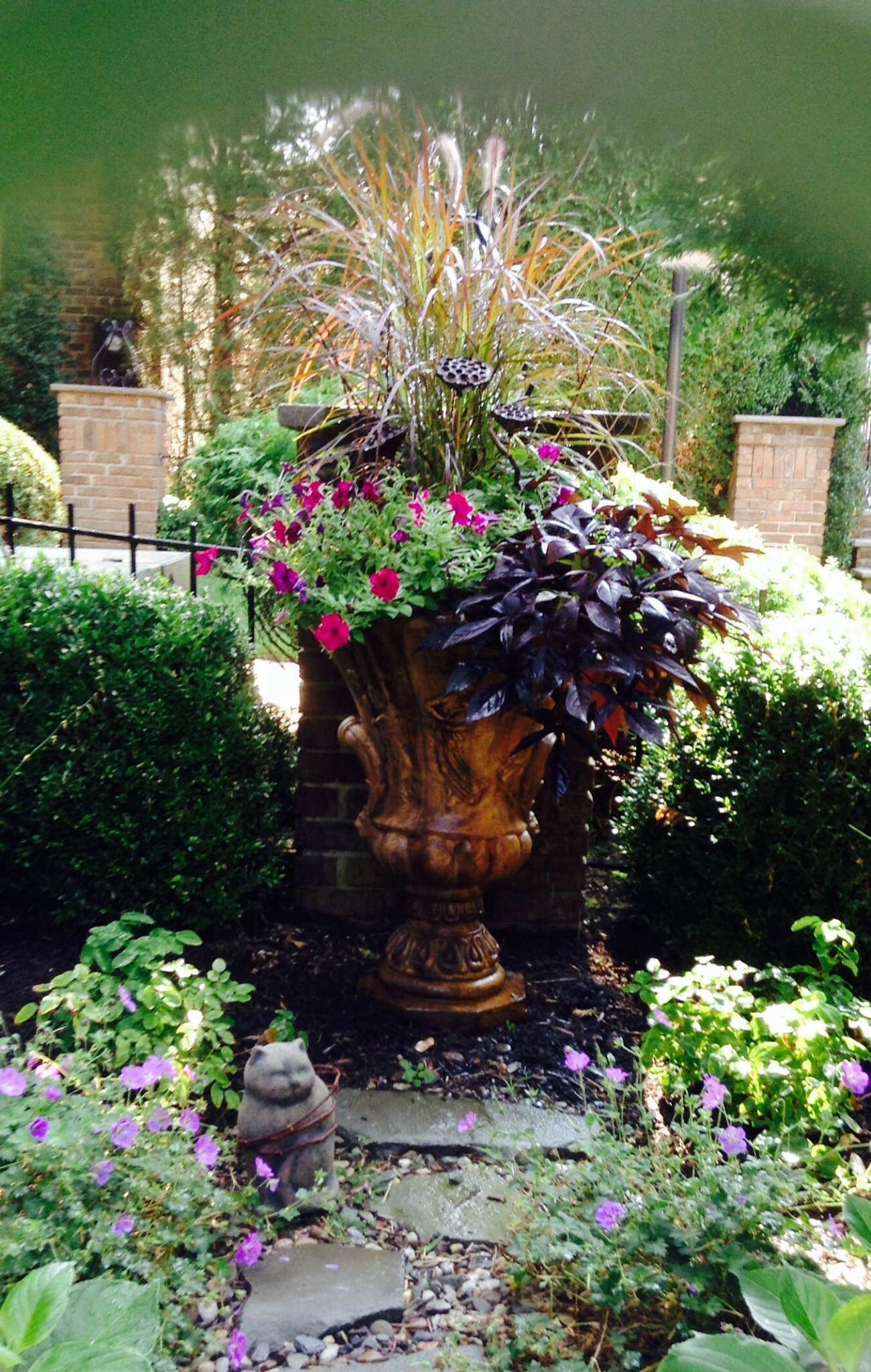 25 Garden Focal Point Plants Ideas You Should Look SharonSable