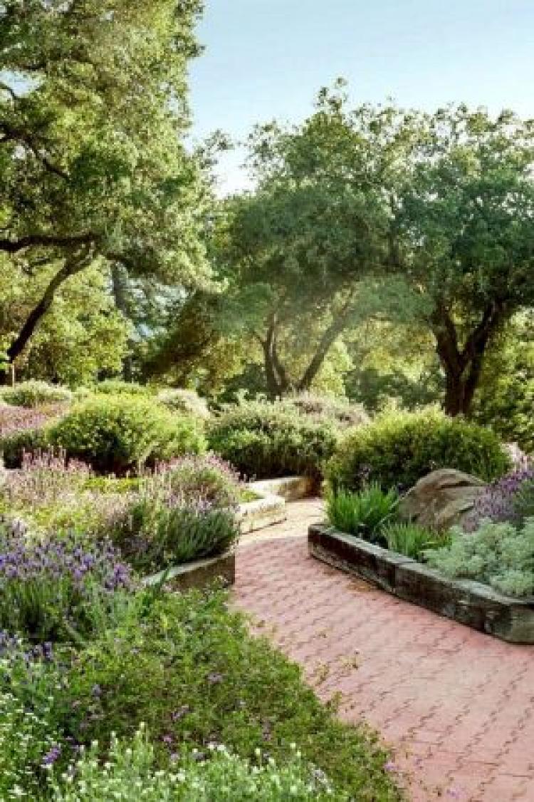Mediterranean Inspired Garden Designs Mediterranean Landscape Design