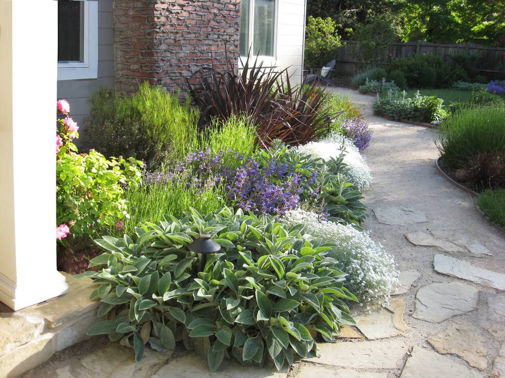 Landscape Design Ideas Mediterranean Garden