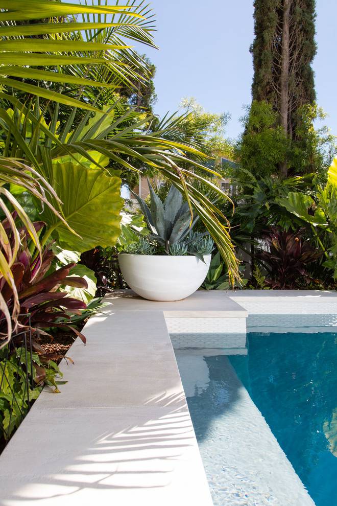 Modern Mediterranean Courtyard Garden