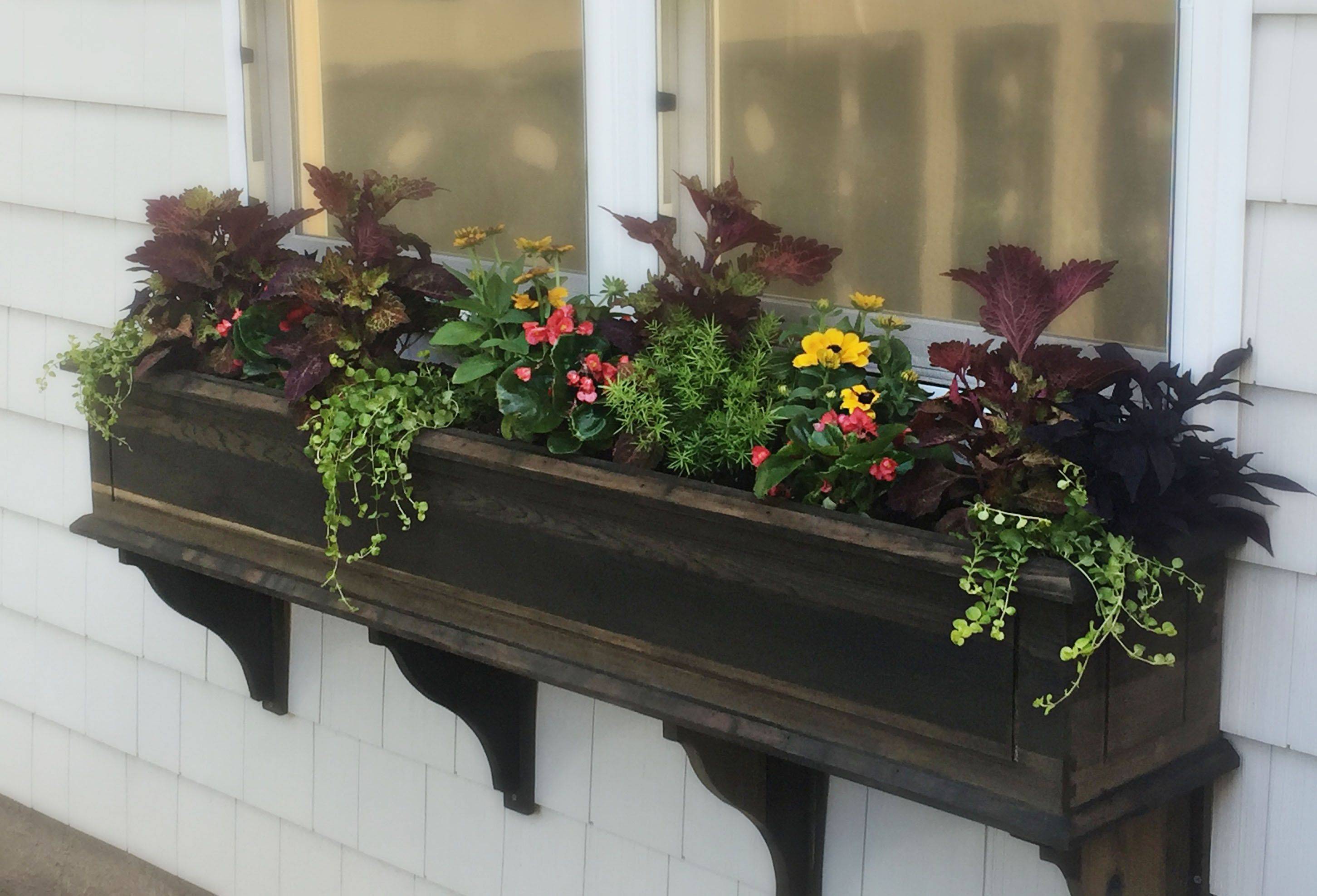 Best Kitchen Garden Window Images