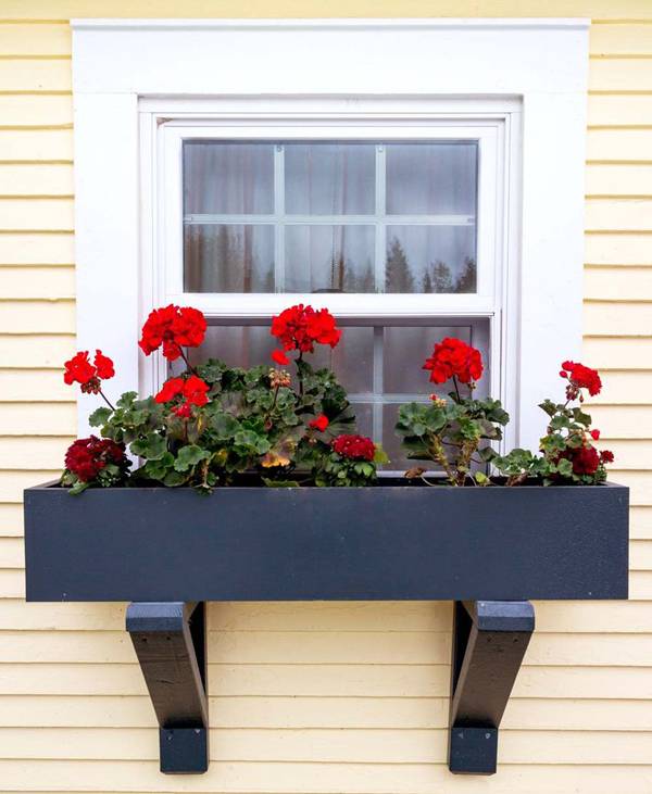 Indoor Window Box Ideas