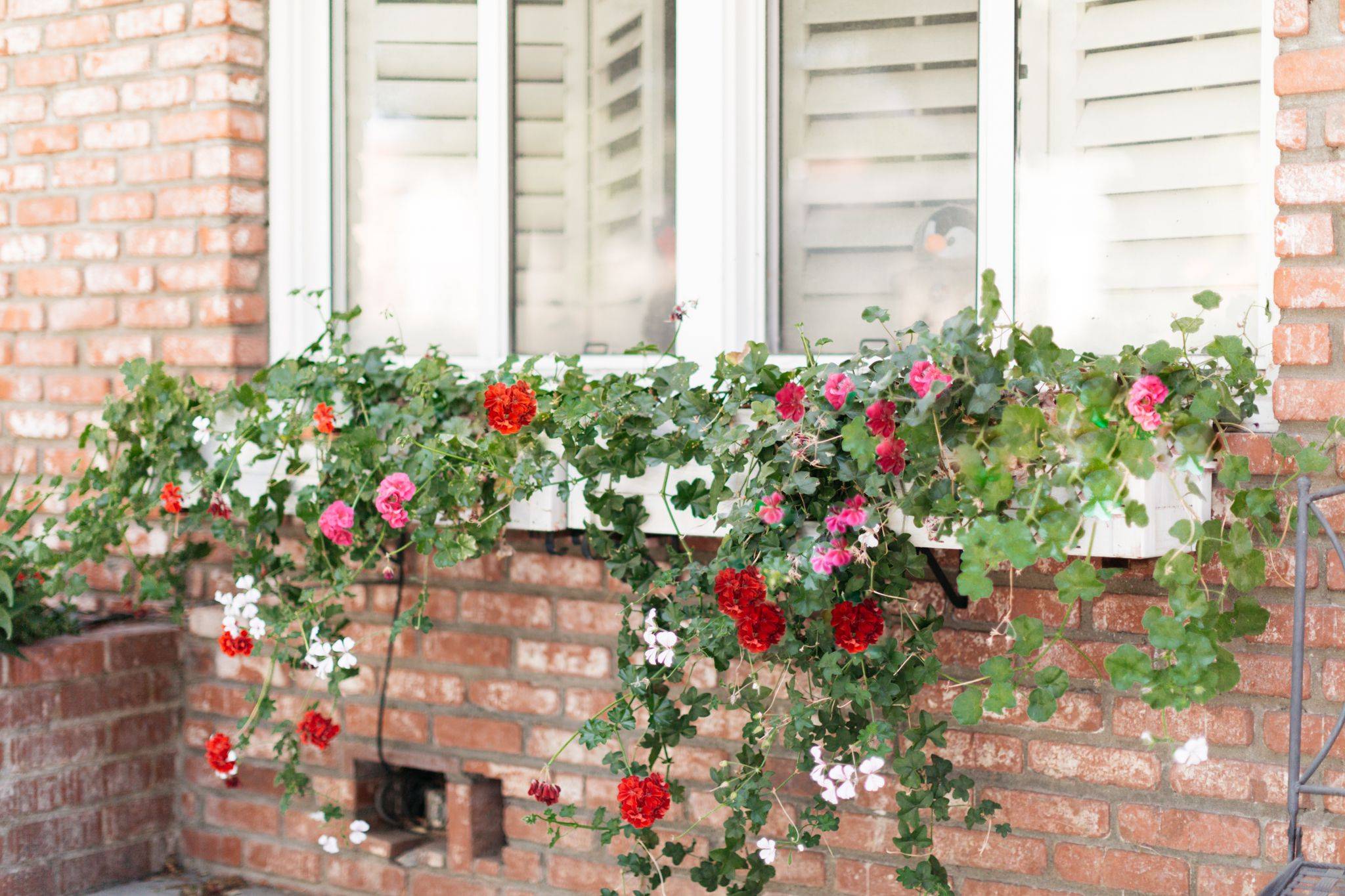 Wonderful Diy Window Box Planters