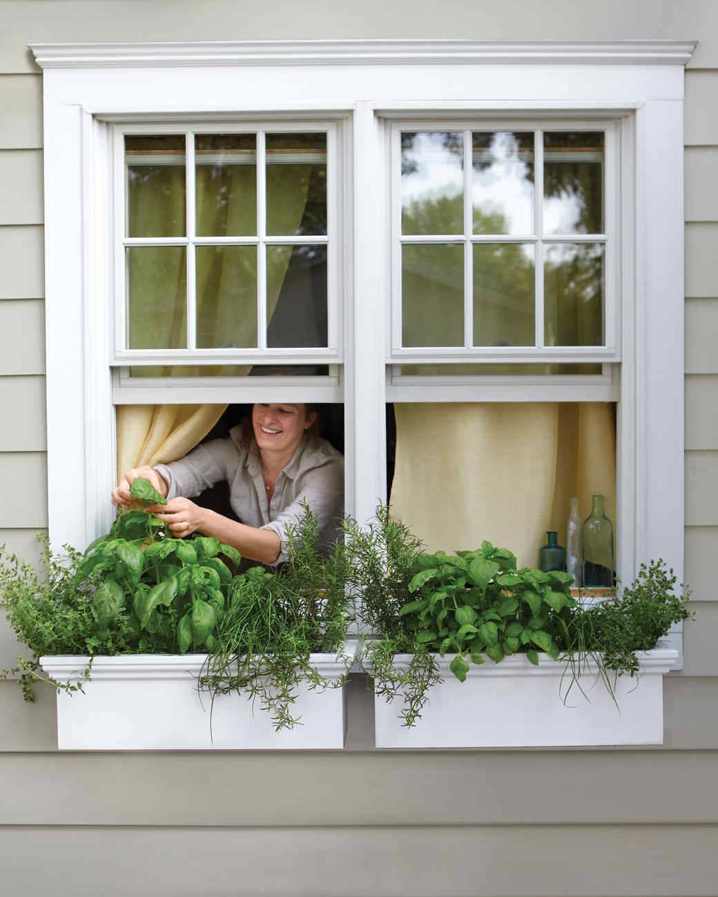 Kitchen Window Herb Garden Fresh Indoor Herb Garden Ideas