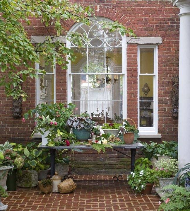 My Garden Window Garden Windows