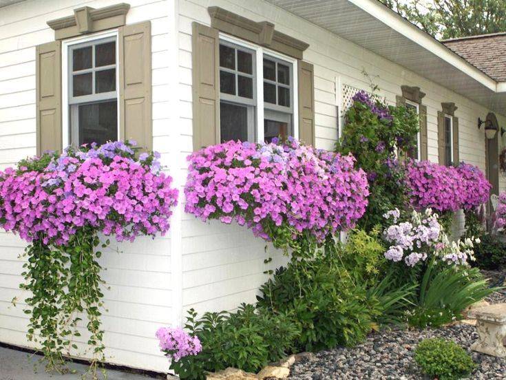 Bay Window Garden Ideas