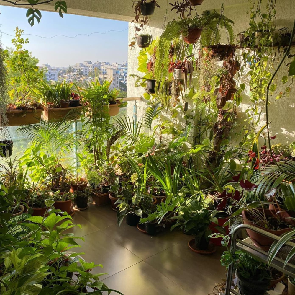 Apartment Balcony Garden Ideas