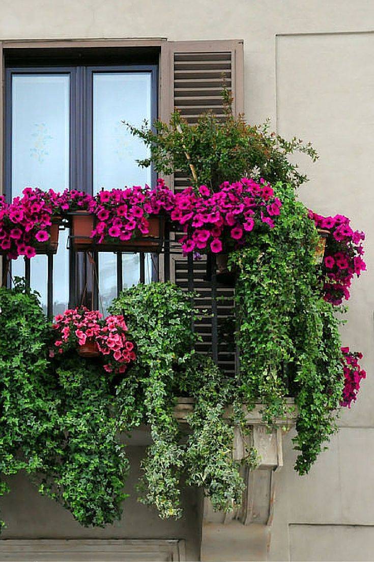 Apartment Balcony Garden Ideas