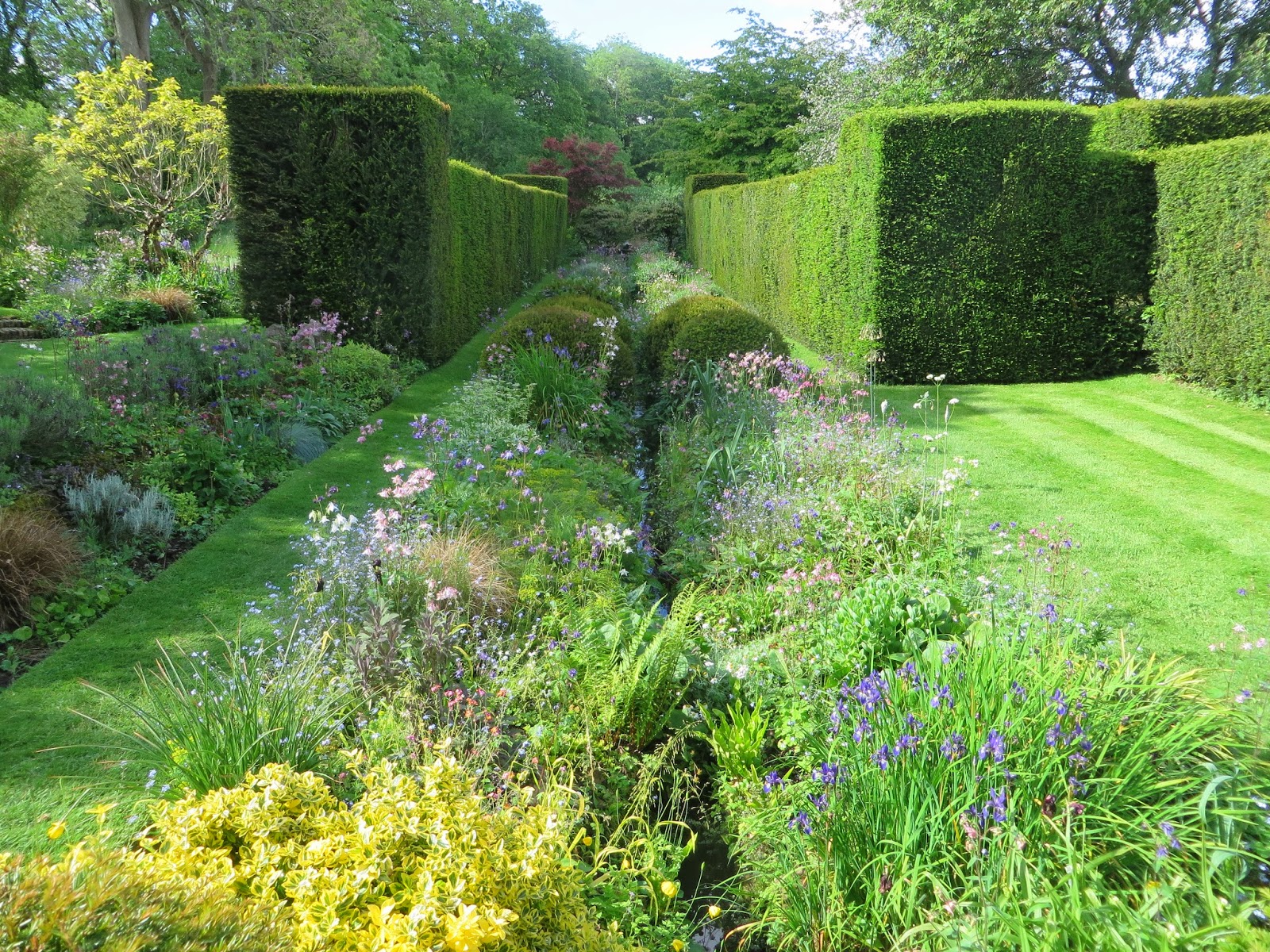 Front Garden Landscape
