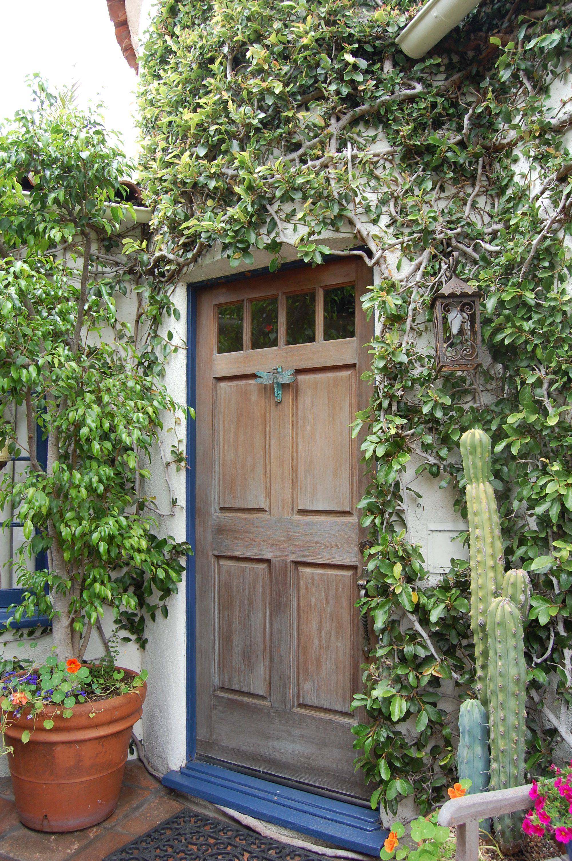 Jardines Palazzo Pfanner En Luccaitalia Greek Garden Renaissance