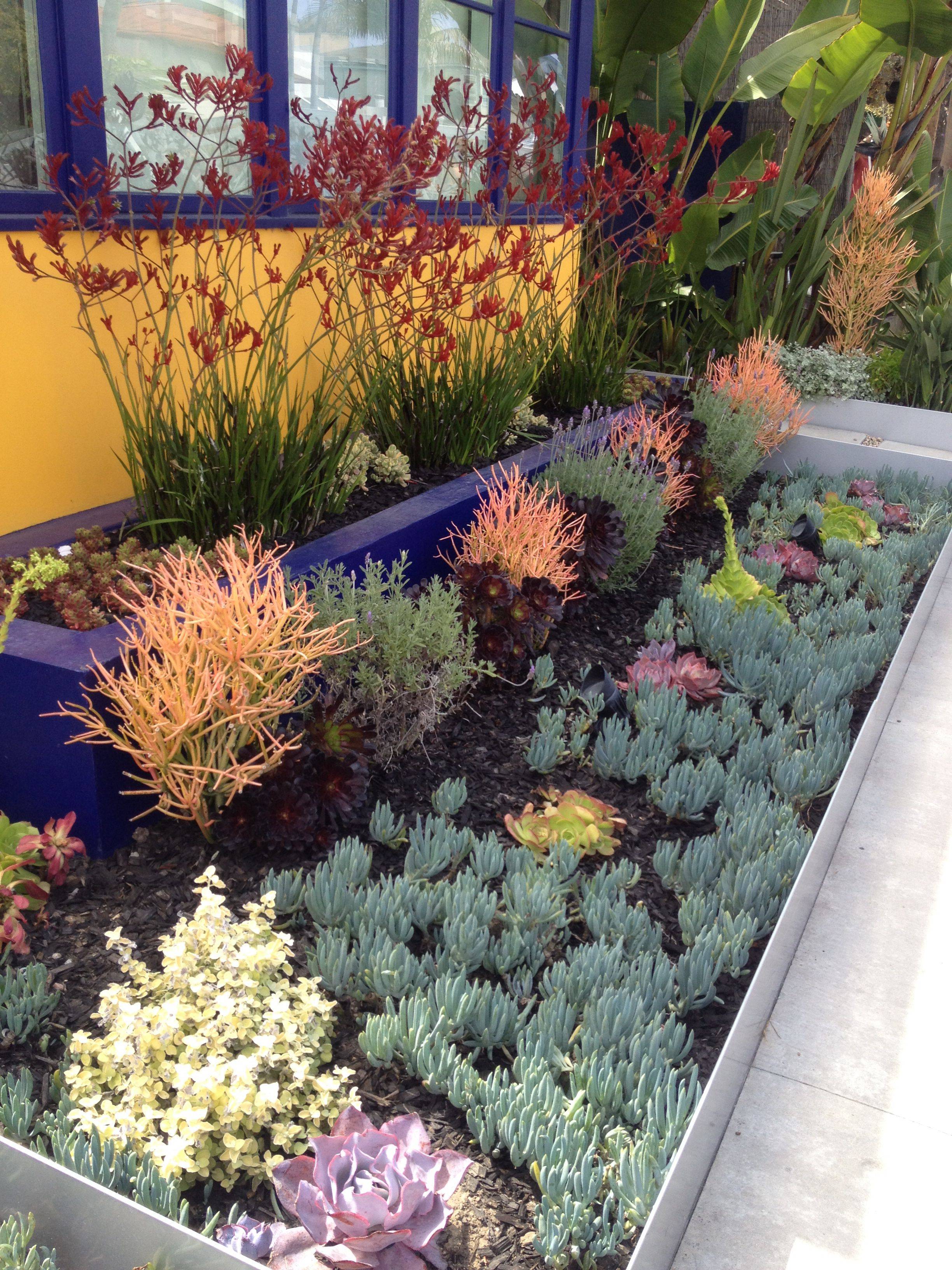 Venice Courtyard Garden