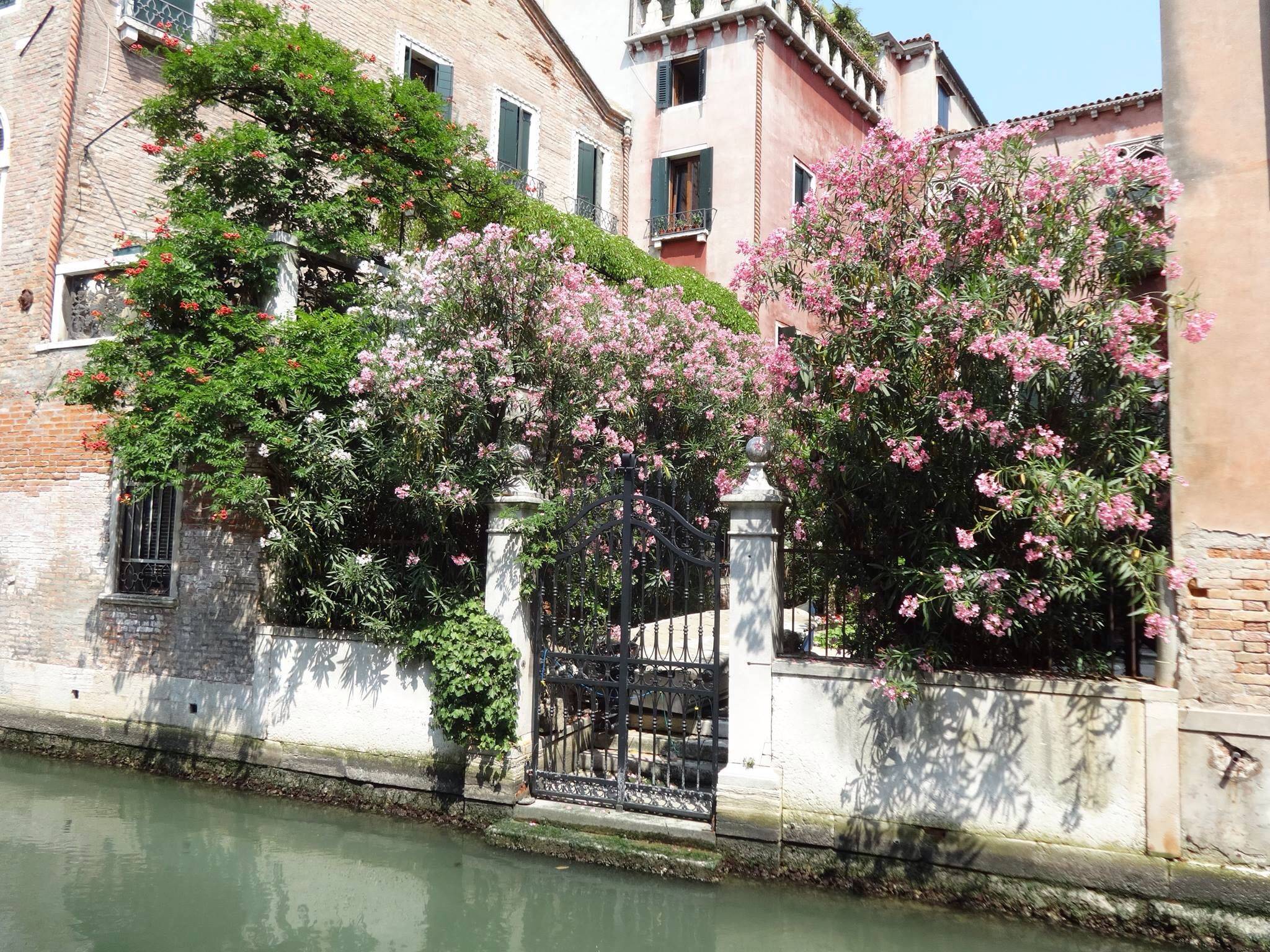 Venice Courtyard Patio Garden