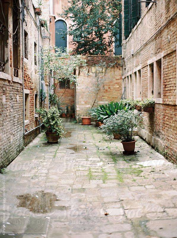 Venice Courtyard Patio Garden
