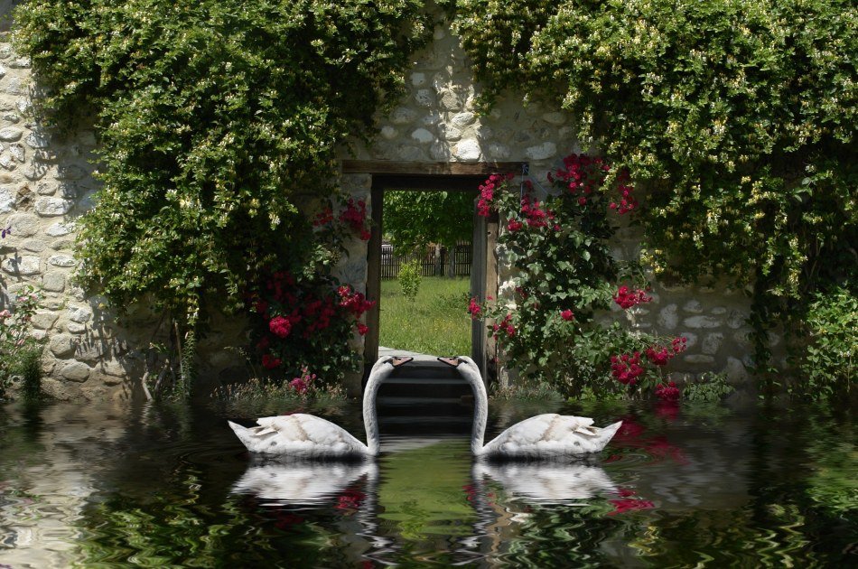 Venice Hour Secret Gardens Tour
