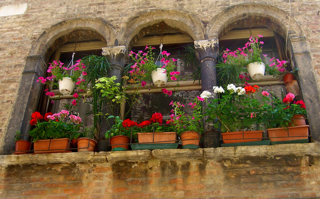 Venice Secret Garden