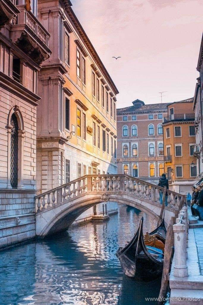 A House Garden Guide