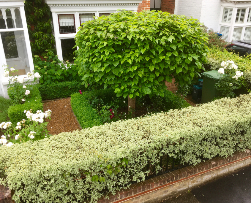 Victorian Front Garden Design Victorian Front Garden