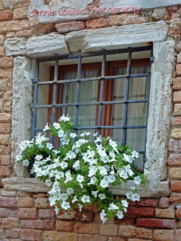 Indoor Window Garden