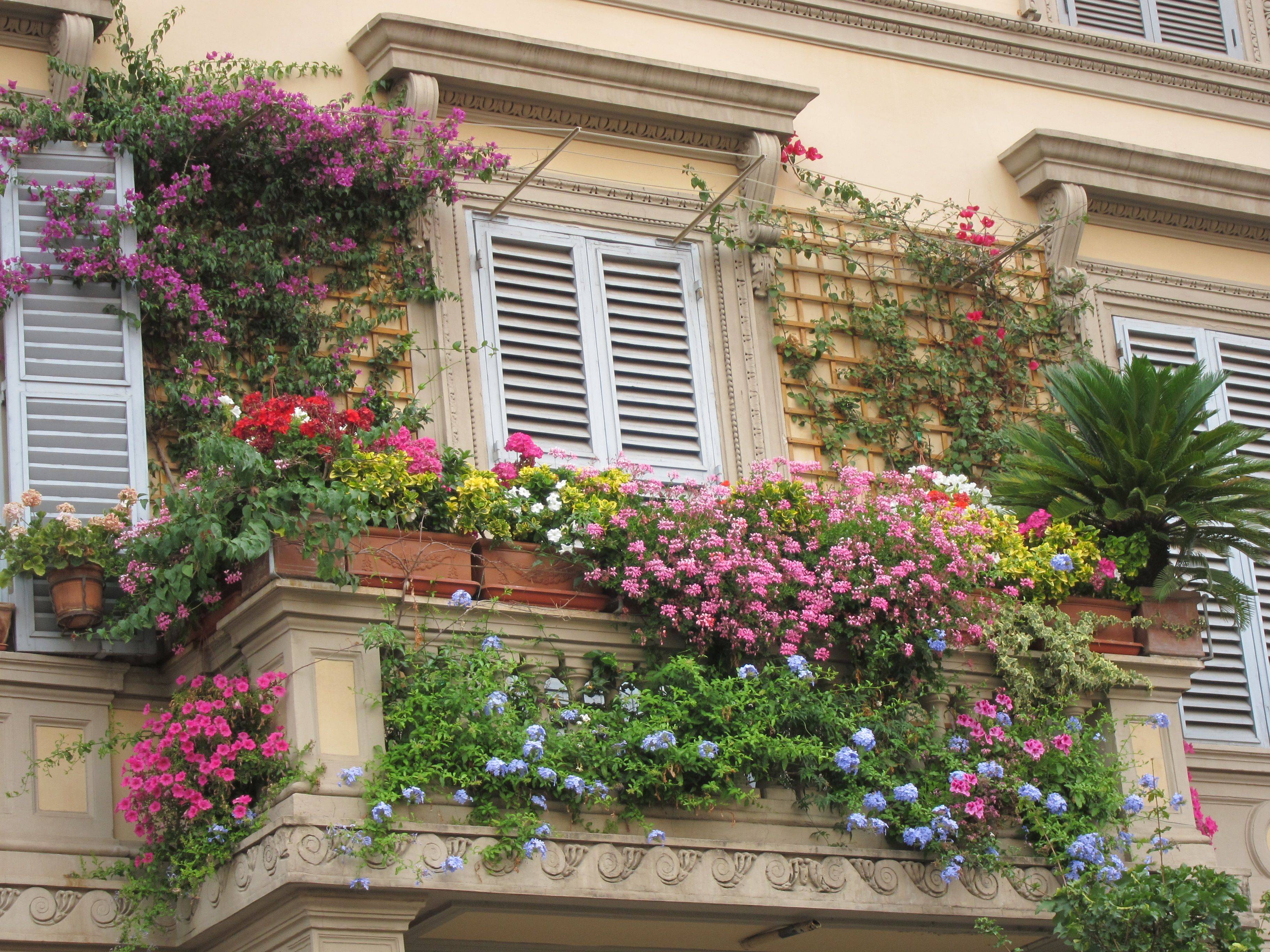 Colorful Blossom Balcony Decoration