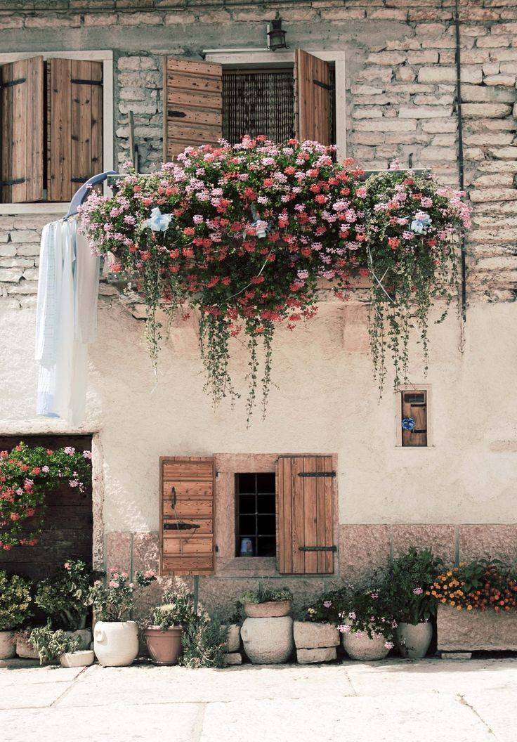 Ventanas Window Box Flowers