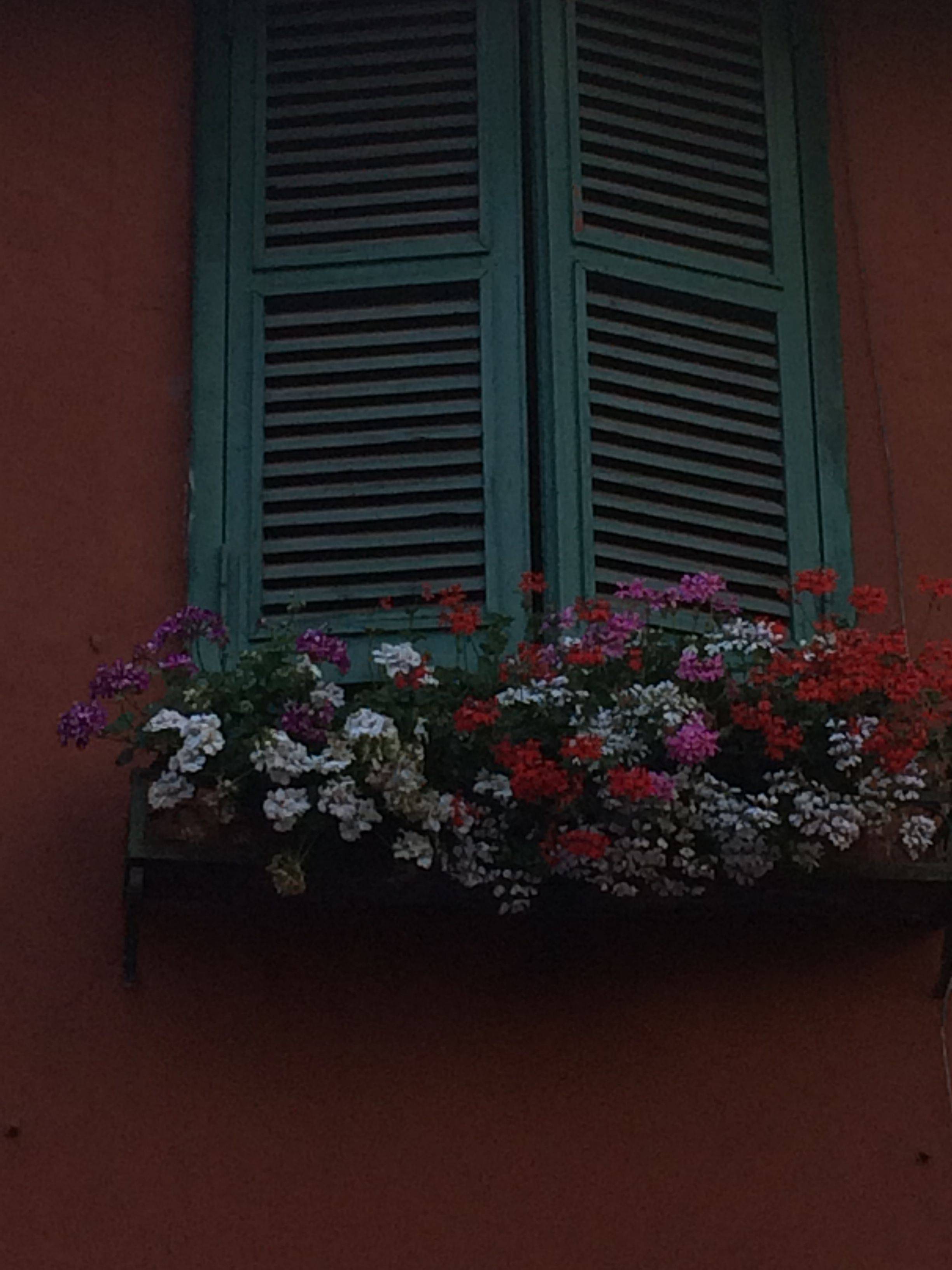 Window Glamour Venice