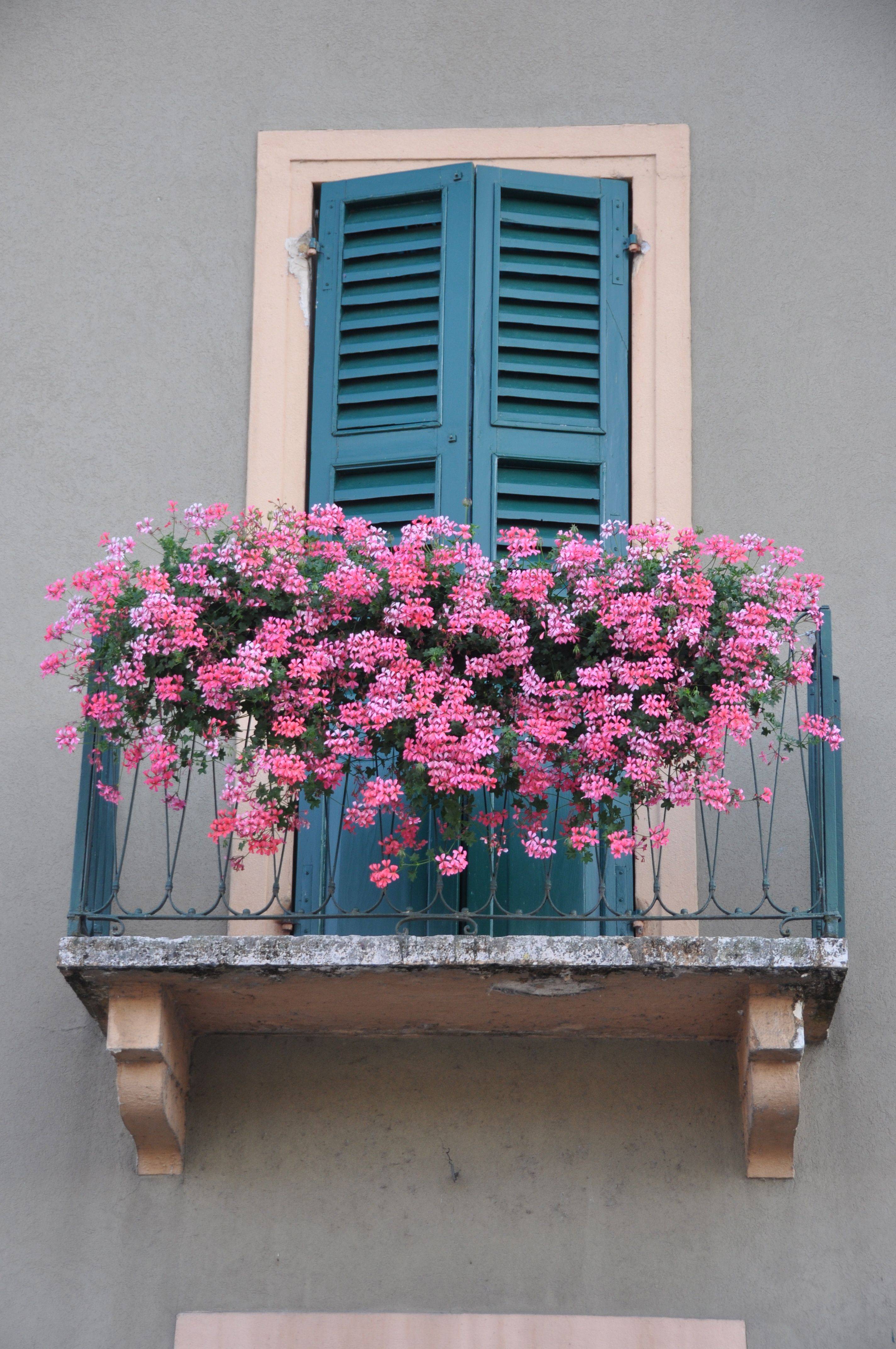 Windows And Doors Of Italy Windows And Doors Garden Windows