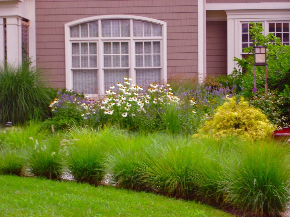 Eyecatching Diy Trellis Ideas