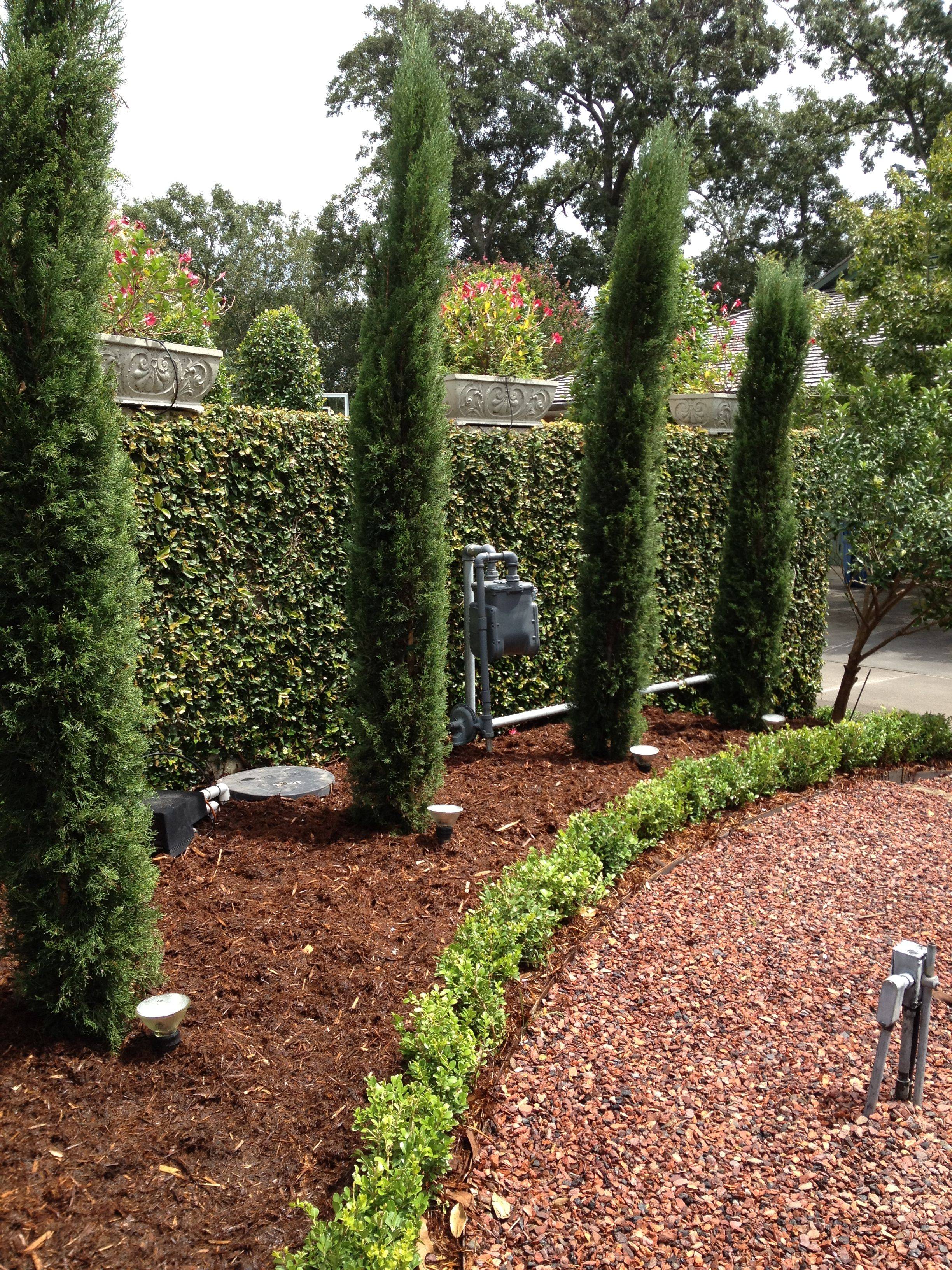 Front Yard Landscaping