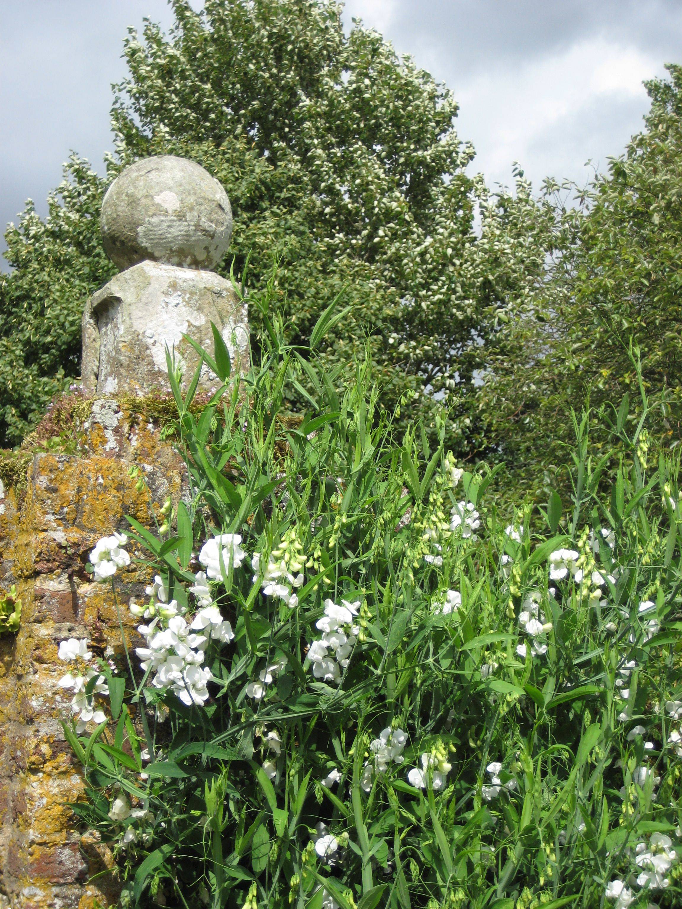 Sissinghurst White Garden Rose Arbor