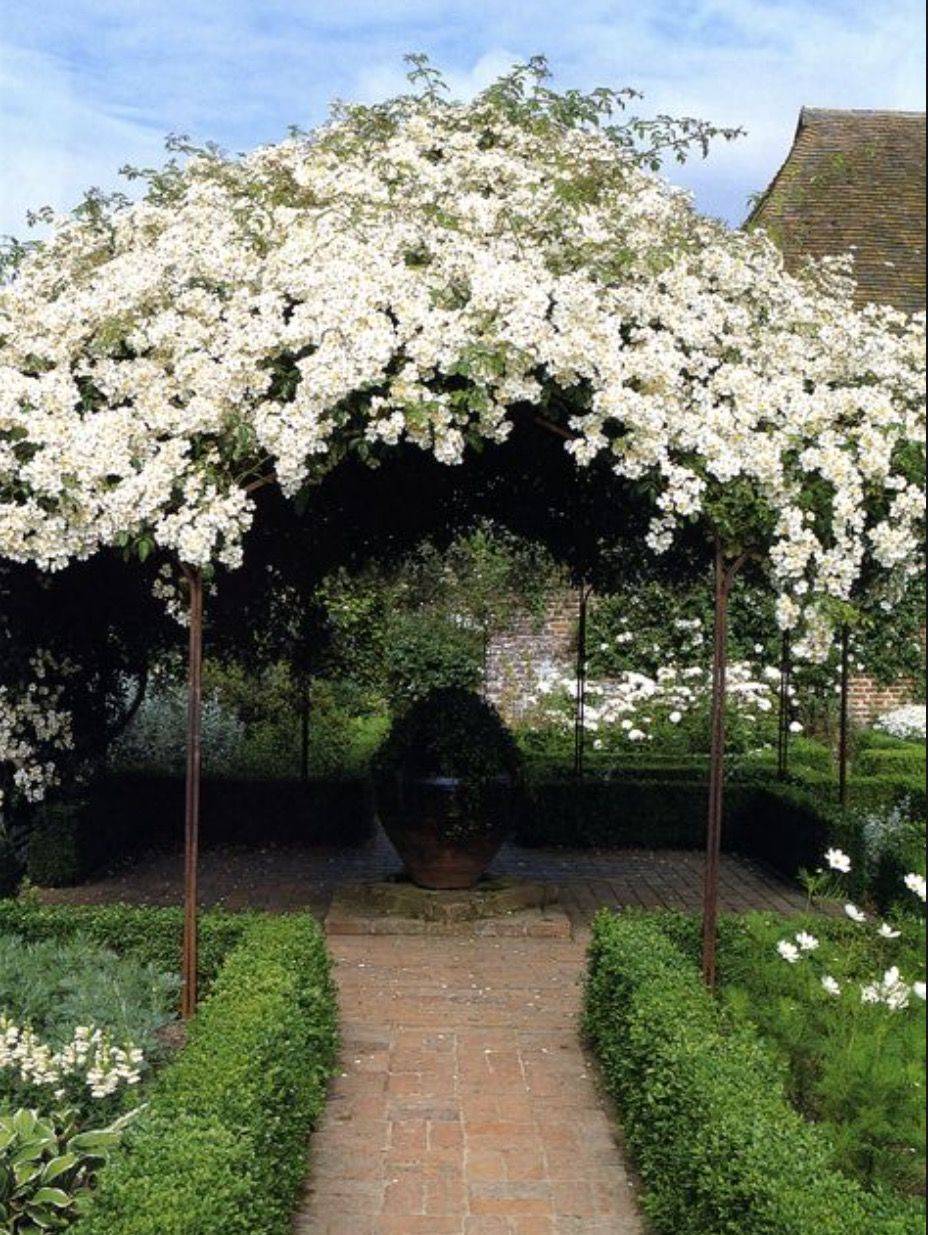 Sissinghurst White Garden Rose Arbor