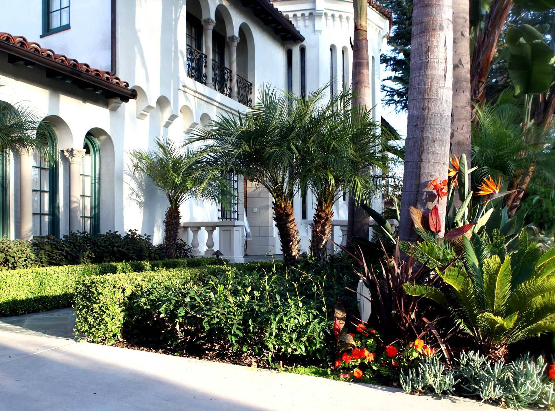 Beverly Hills Residence Fiore Landscape Design Landscape Design