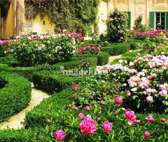 Decor Inspiration Garden Design Ideas