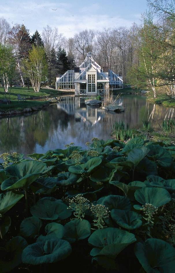 Vivians Tranquil Garden