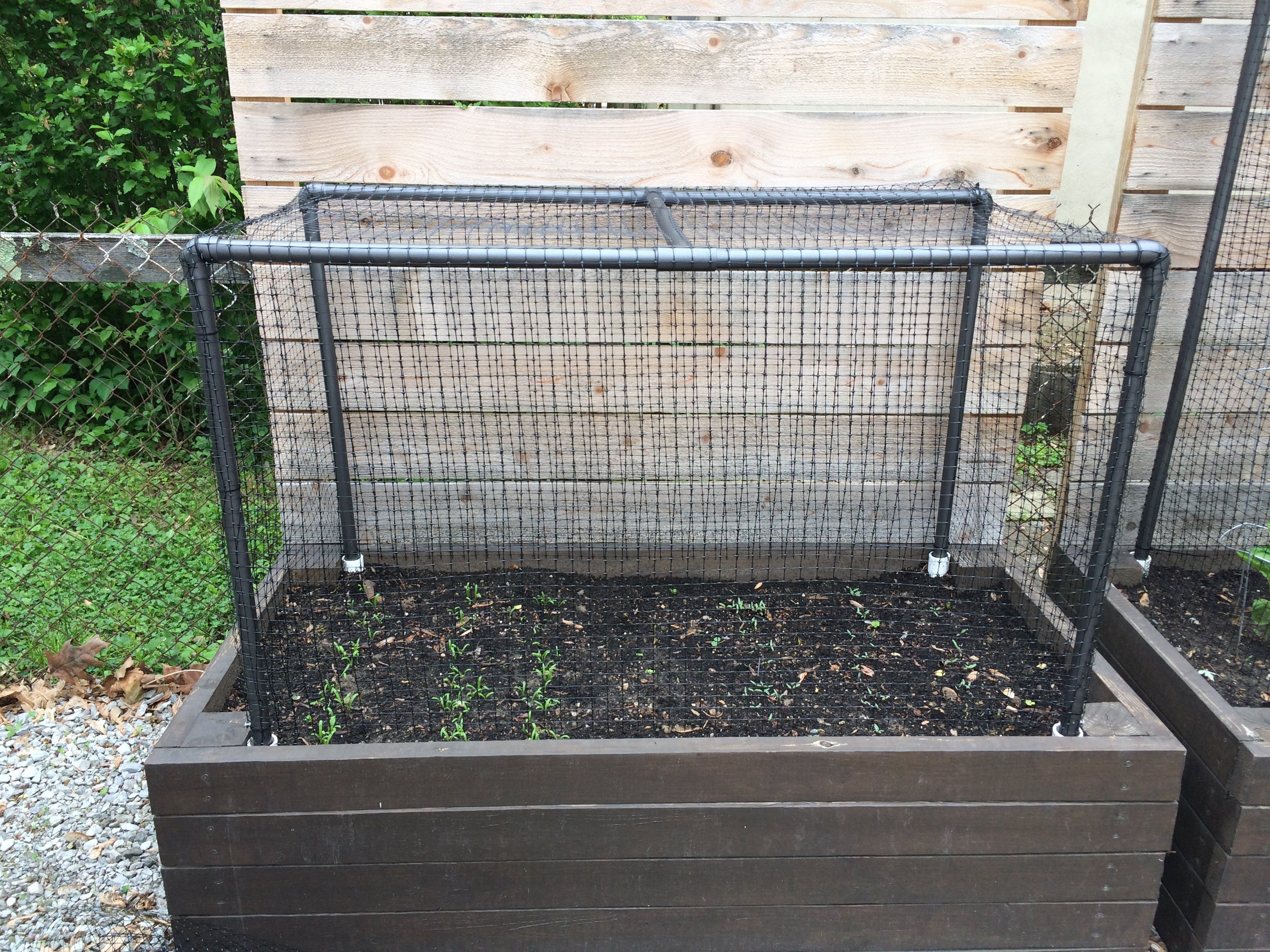 Diy Vegetable Garden Cage