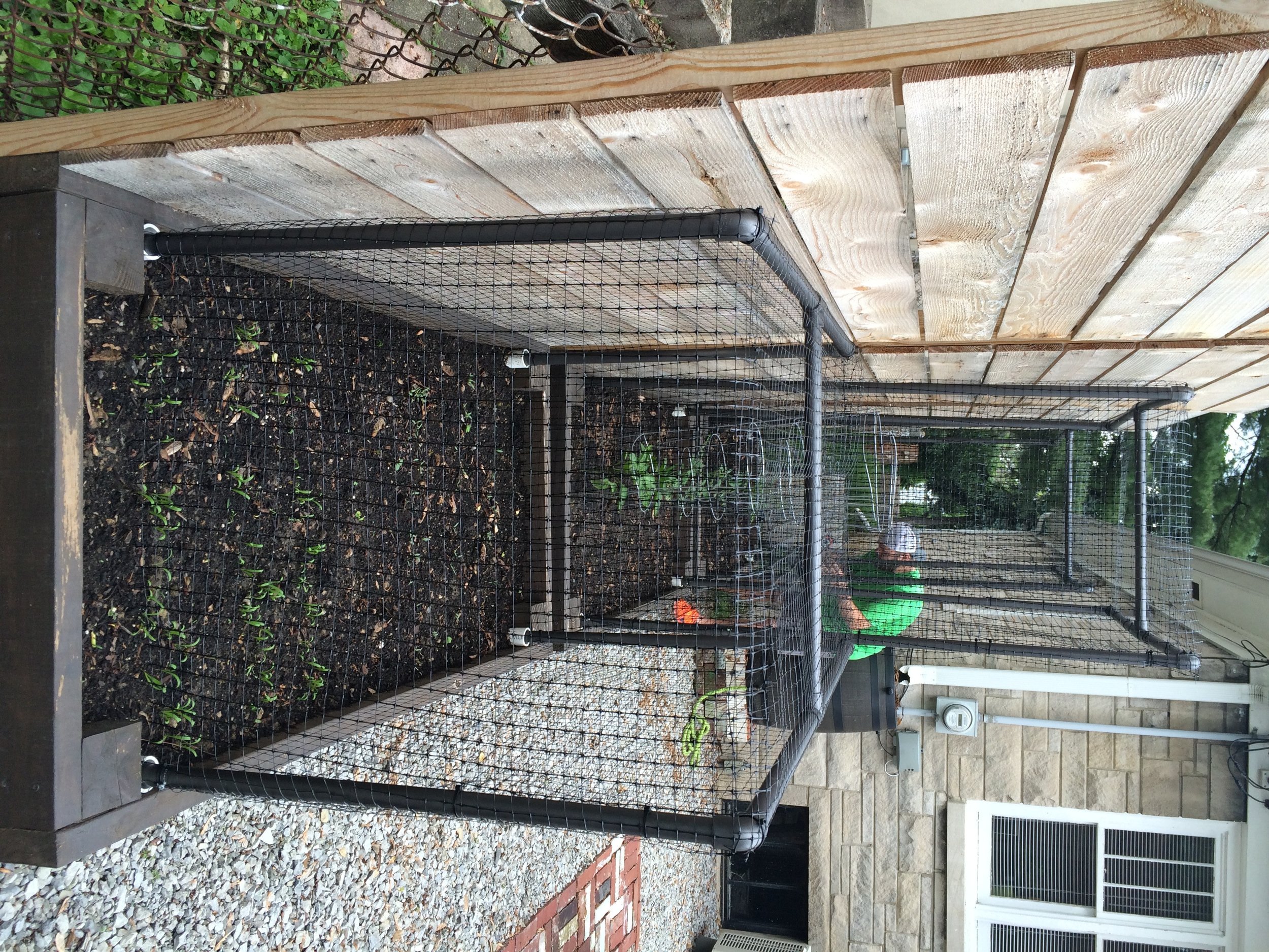 Diy Vegetable Garden Cage Vegetable Garden Design