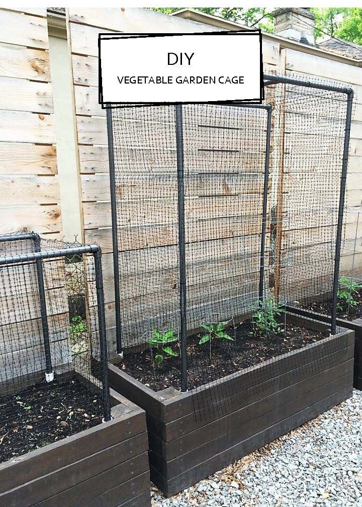 Vegetable Garden Garden Ideas