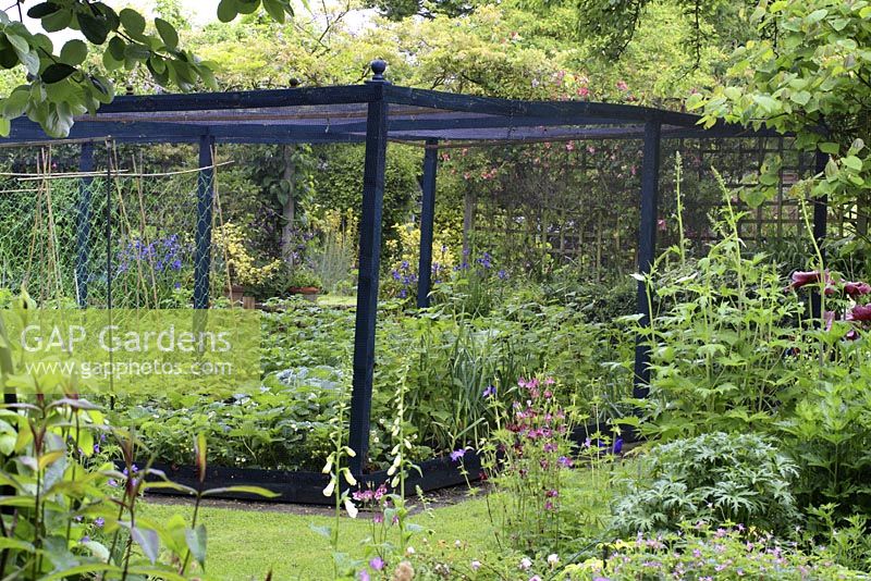 A Vegetable Garden Cage