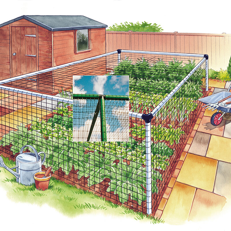 A Vegetable Garden Cage