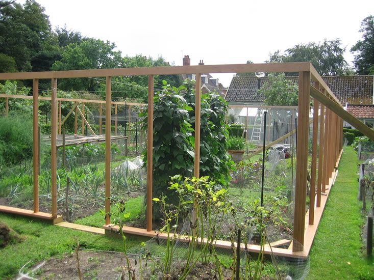 A Vegetable Garden Cage