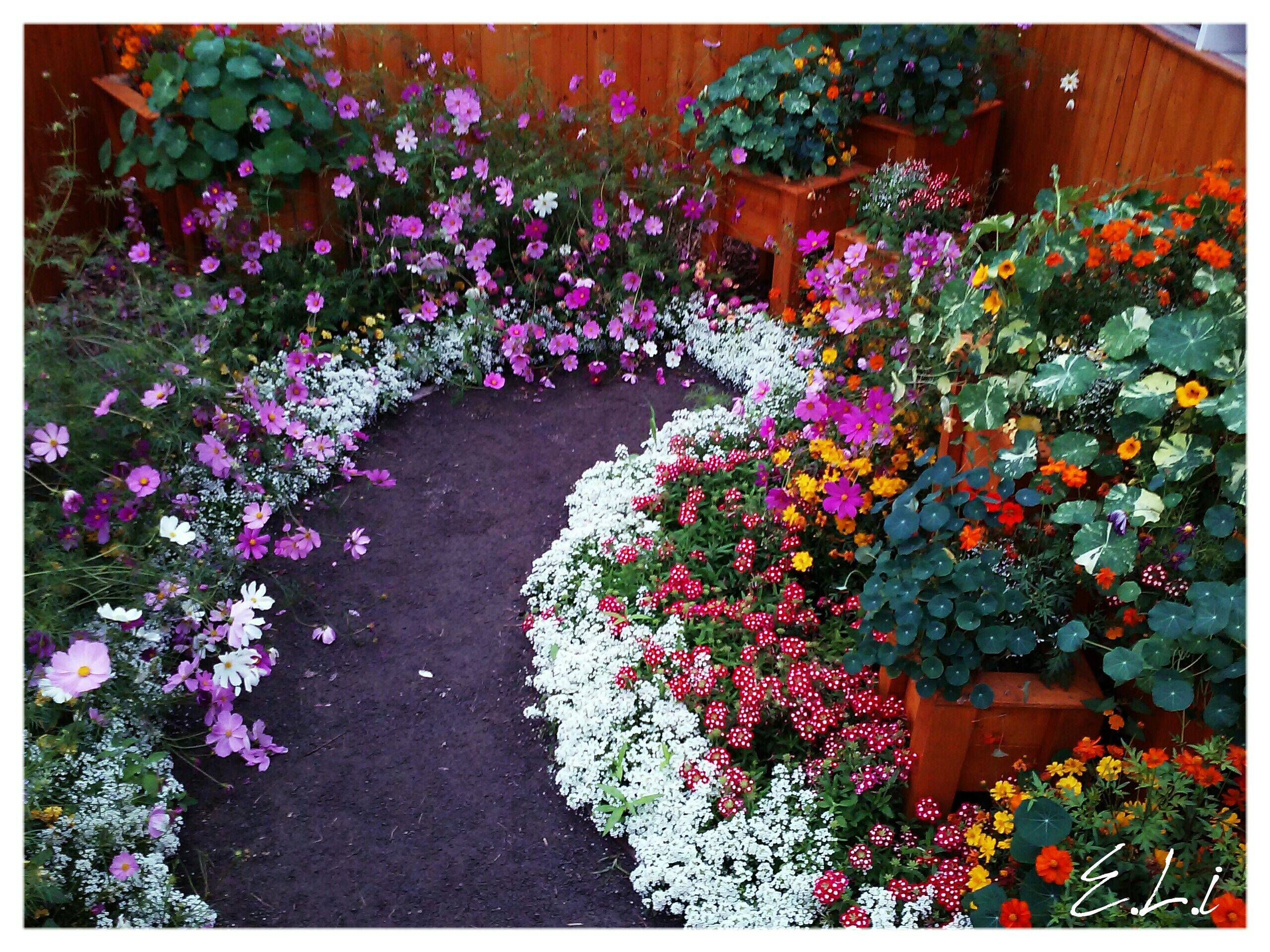 Indoor Garden Ideas