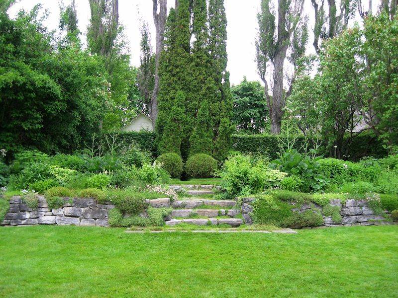 Front Yard Garden