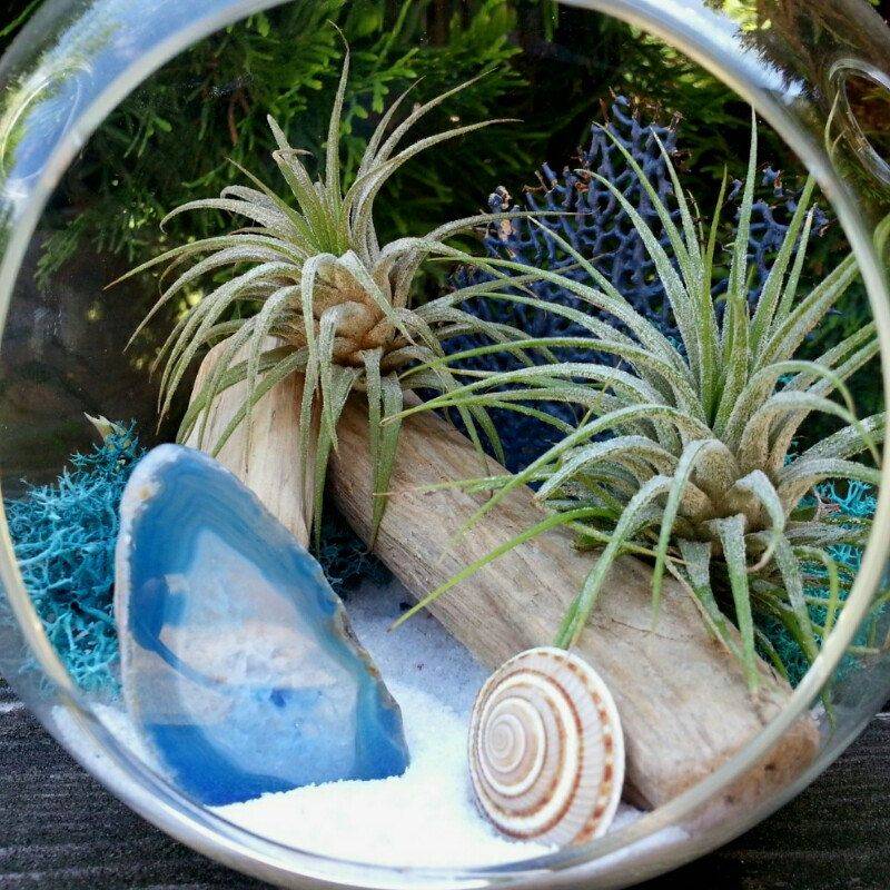 Tropical House Uk Tropical Houses