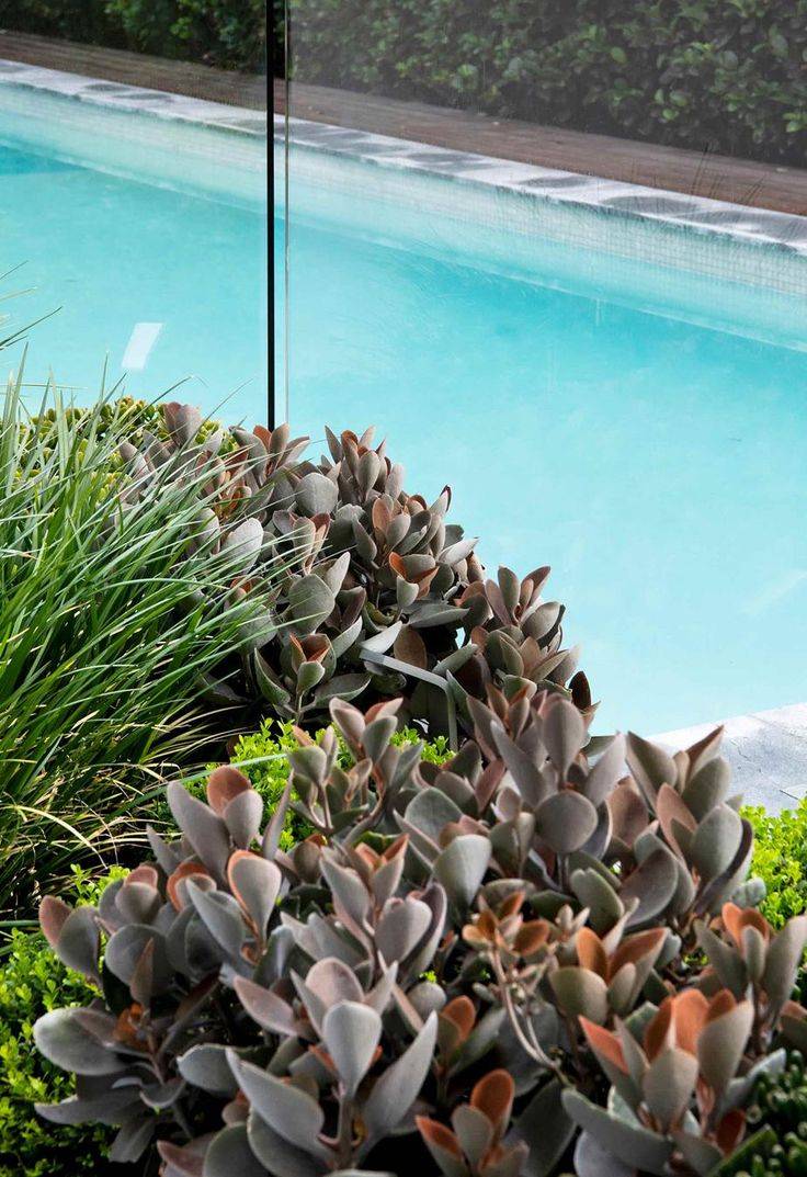 Sea Wall Landscaping