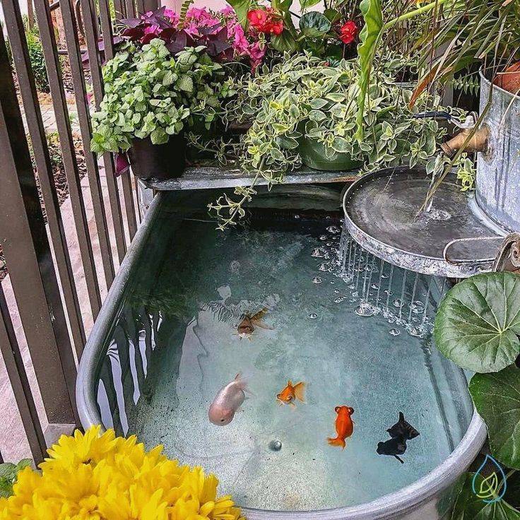 This Beach Terrarium