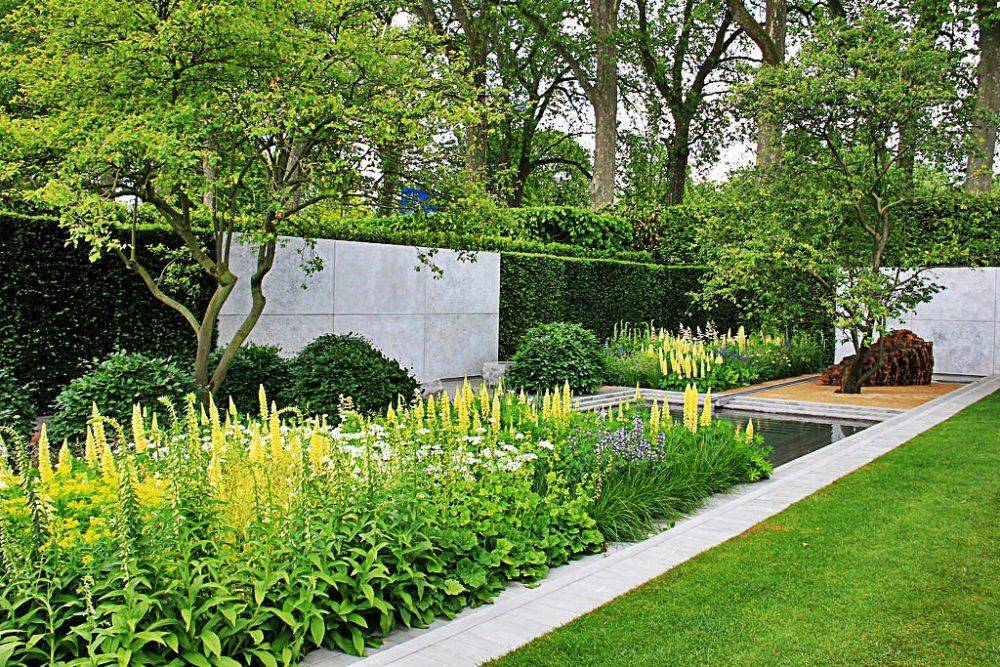 Luciano Giubbilei Addison Road Garden Design